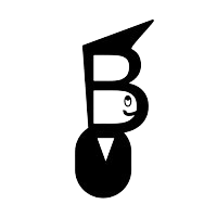 BurdenOff Consulting Services